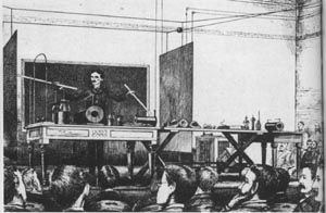 Tesla 1891 IEE Lecturer.JPG (21498 bytes)